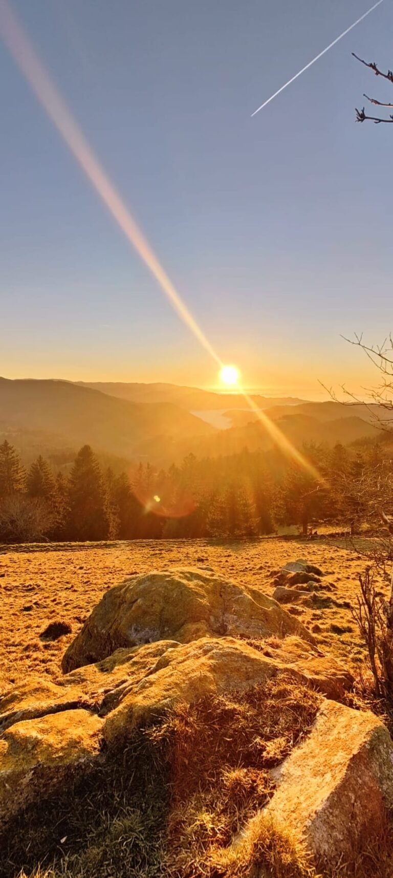 Über mich 5 Sudermann-Webdesign Freiburg Aussicht 2 1 Sudermann-Webdesign https://sudermann-webdesign.de/wp-content/uploads/2025/12/cropped-ChatGPT-Image-26.-Dez.-2025-00_16_22.png